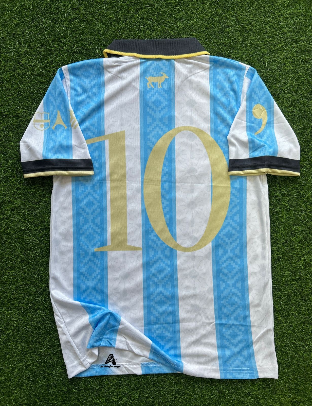 ARGENTINA SPECIAL EDITION, HALFSLEEVE POLO EMBROIDERY