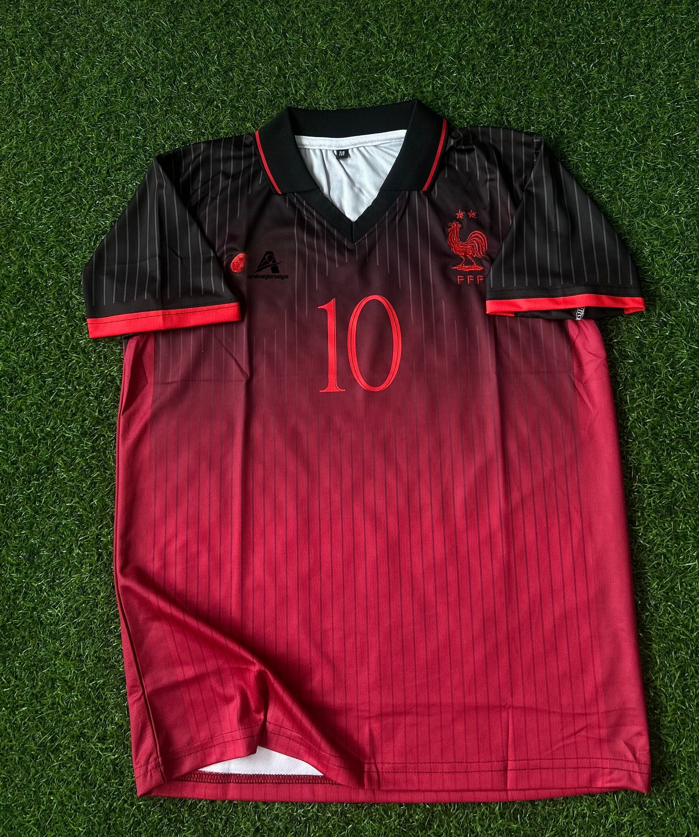 FRANCE SPECIAL EDITION JERSEY, HALF SLEEVE POLO EMBROIDERY