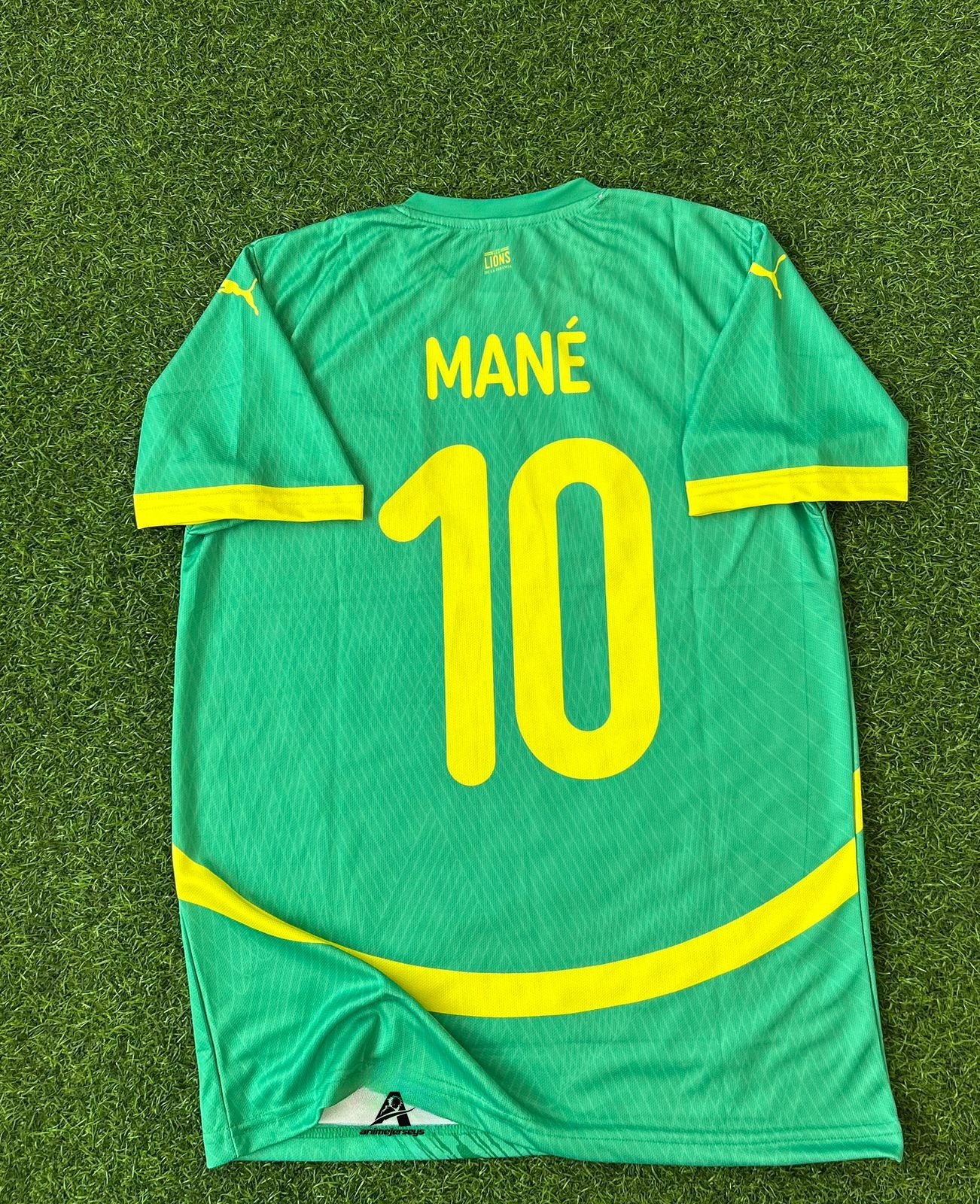 SENEGAL AFRICA CUP2025 AWAY KIT, HALFSLEEVE EMBROIDERY